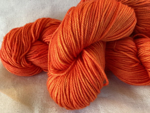 Baah Yarn Shasta
