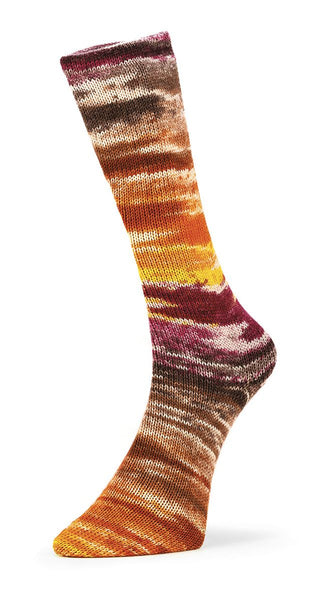 Laines du Nord Mad Socks